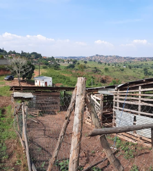 WhatsApp Image 2021-04-17 at 09.48.07.jpeg